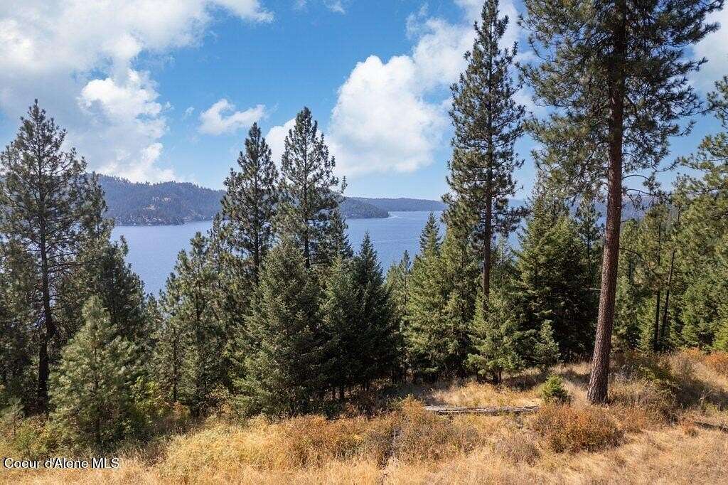 0.45 Acres of Residential Land for Sale in Harrison, Idaho