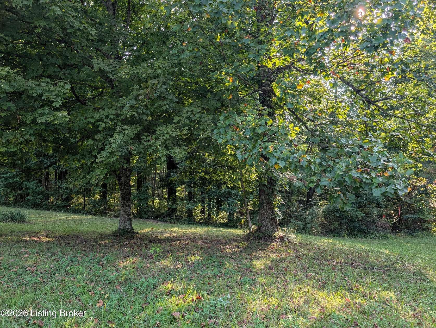 26.9 Acres of Land for Sale in Bedford, Kentucky