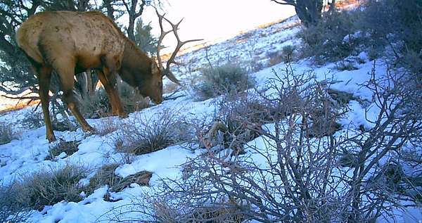 10 Acres of Recreational Land for Sale in Fruitland, Utah