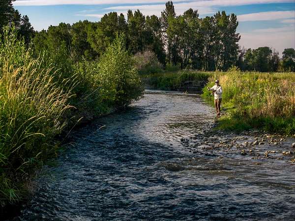 36 Acres of Land for Sale in Belgrade, Montana