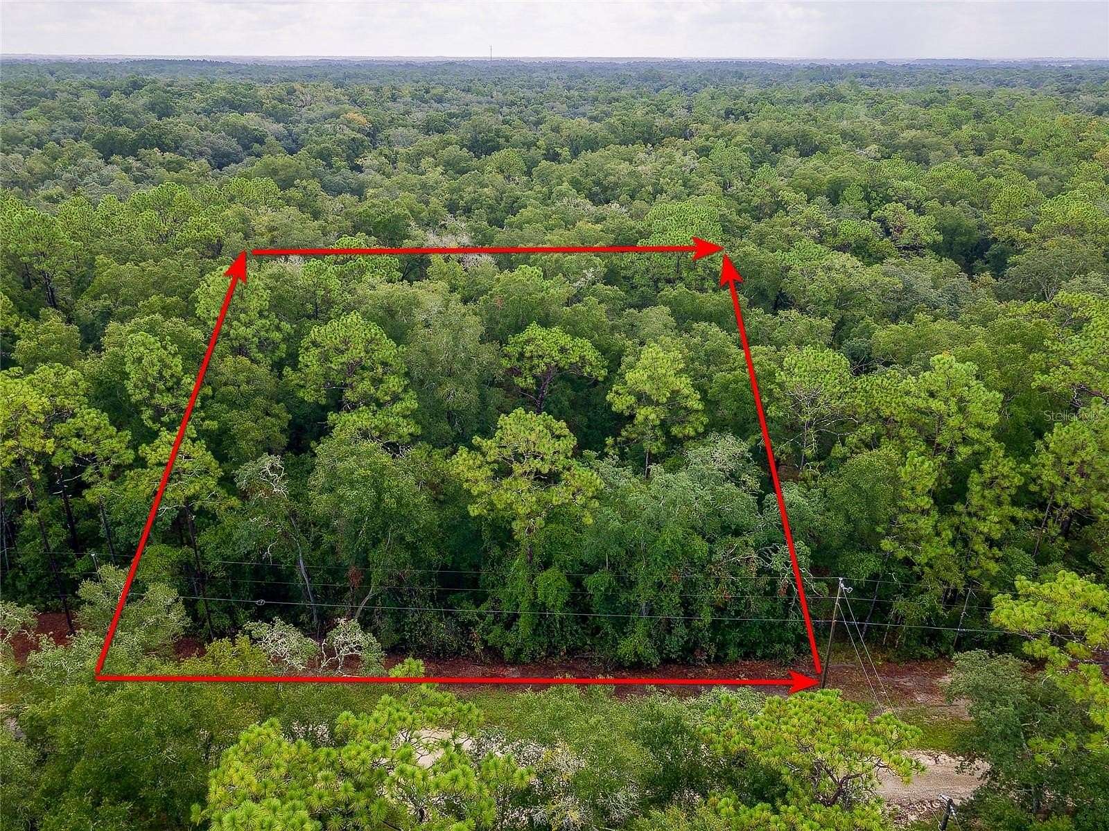 1.2 Acres of Residential Land for Sale in Webster, Florida