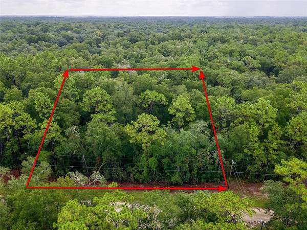 1.2 Acres of Residential Land for Sale in Webster, Florida
