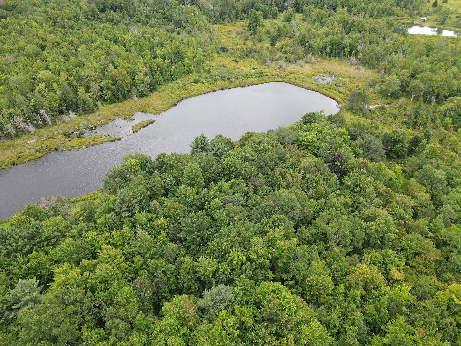 5.1 Acres of Residential Land for Sale in Conesville Town, New York