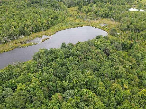 5.1 Acres of Residential Land for Sale in Conesville Town, New York