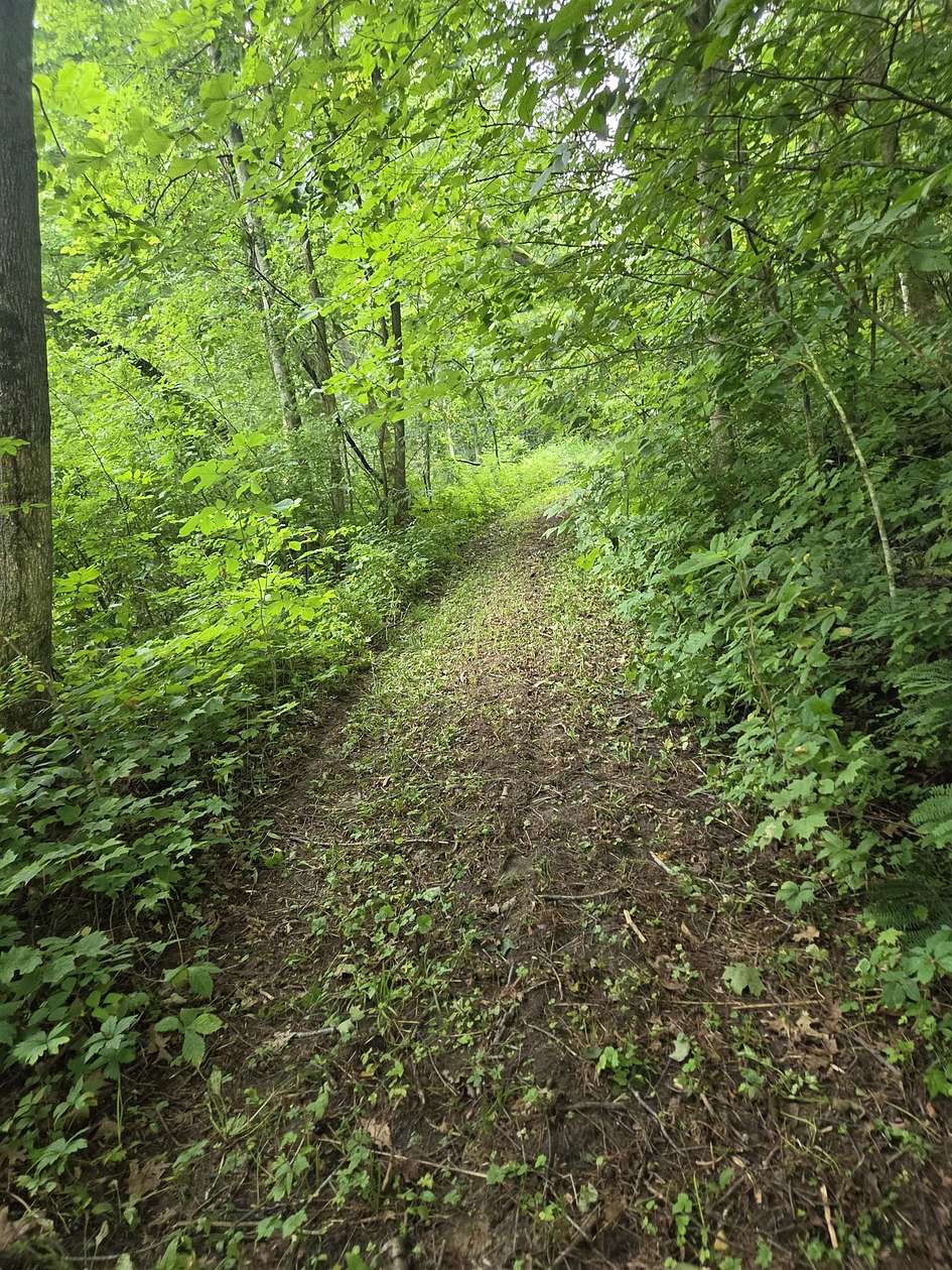 23 Acres of Land for Sale in Richland Center, Wisconsin