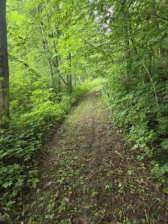 23 Acres of Land for Sale in Richland Center, Wisconsin