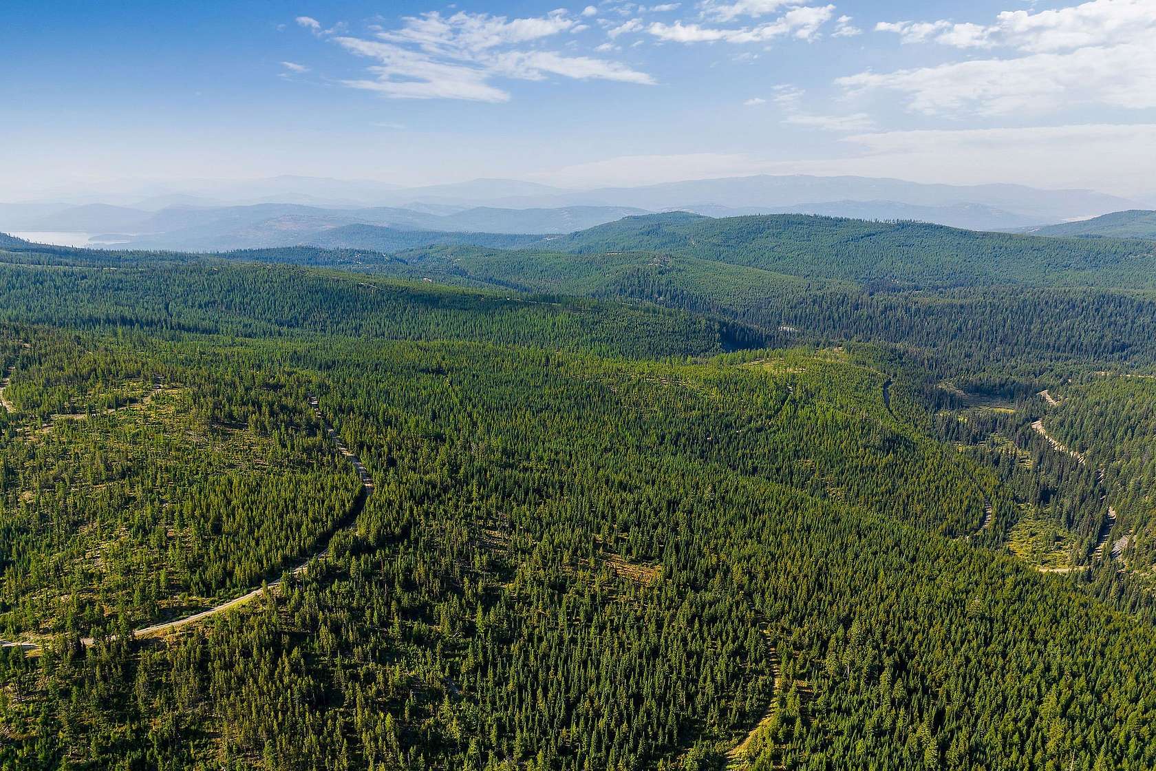 320 Acres of Recreational Land for Sale in Marion, Montana
