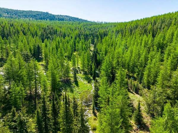 320 Acres of Recreational Land for Sale in Marion, Montana
