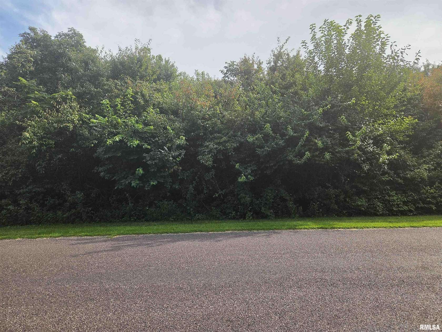 0.35 Acres of Residential Land for Sale in Mackinaw, Illinois