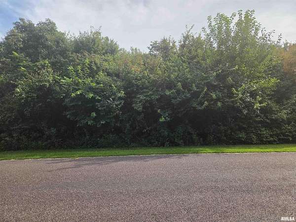 0.35 Acres of Residential Land for Sale in Mackinaw, Illinois