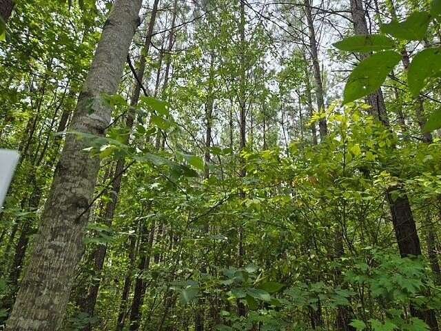 218 Acres of Recreational Land for Sale in Buckingham, Virginia