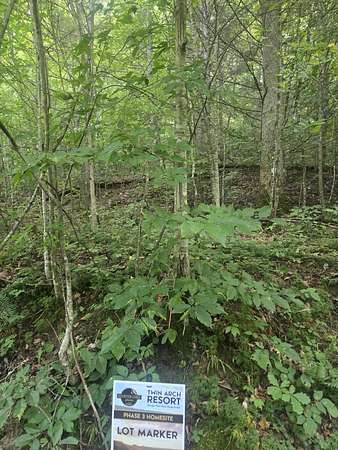 1 Acre of Land for Sale in Stanton, Kentucky