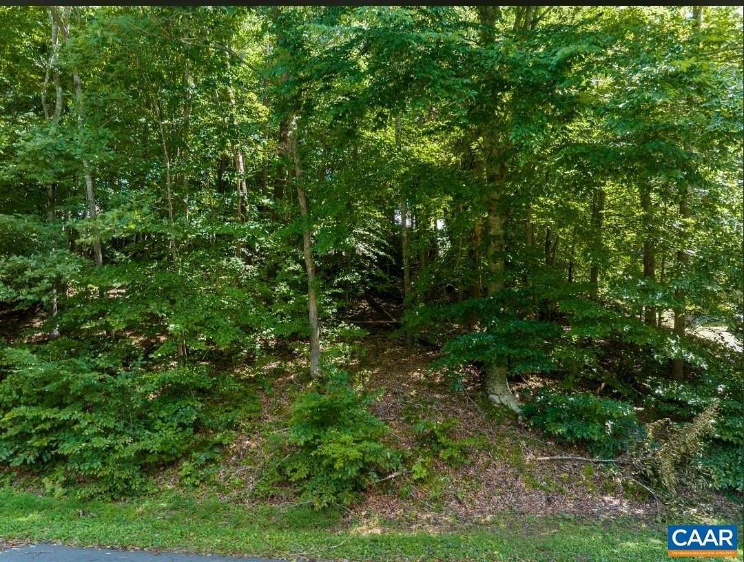 0.34 Acres of Residential Land for Sale in Palmyra, Virginia