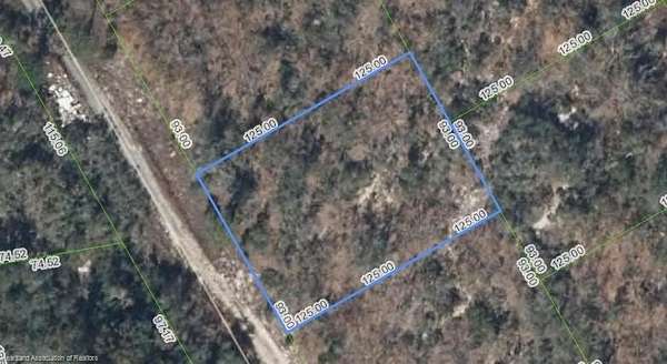 0.27 Acres of Residential Land for Sale in Lake Placid, Florida