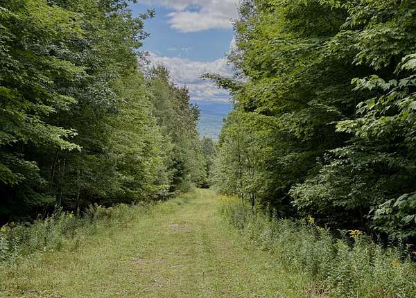 15 Acres of Recreational Land for Sale in Saranac, New York