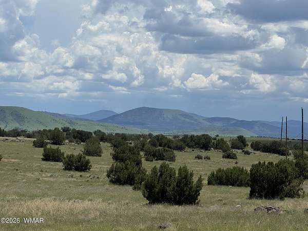 1 Acre of Residential Land for Sale in Concho, Arizona