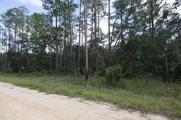 0.43 Acres of Residential Land for Sale in Interlachen, Florida