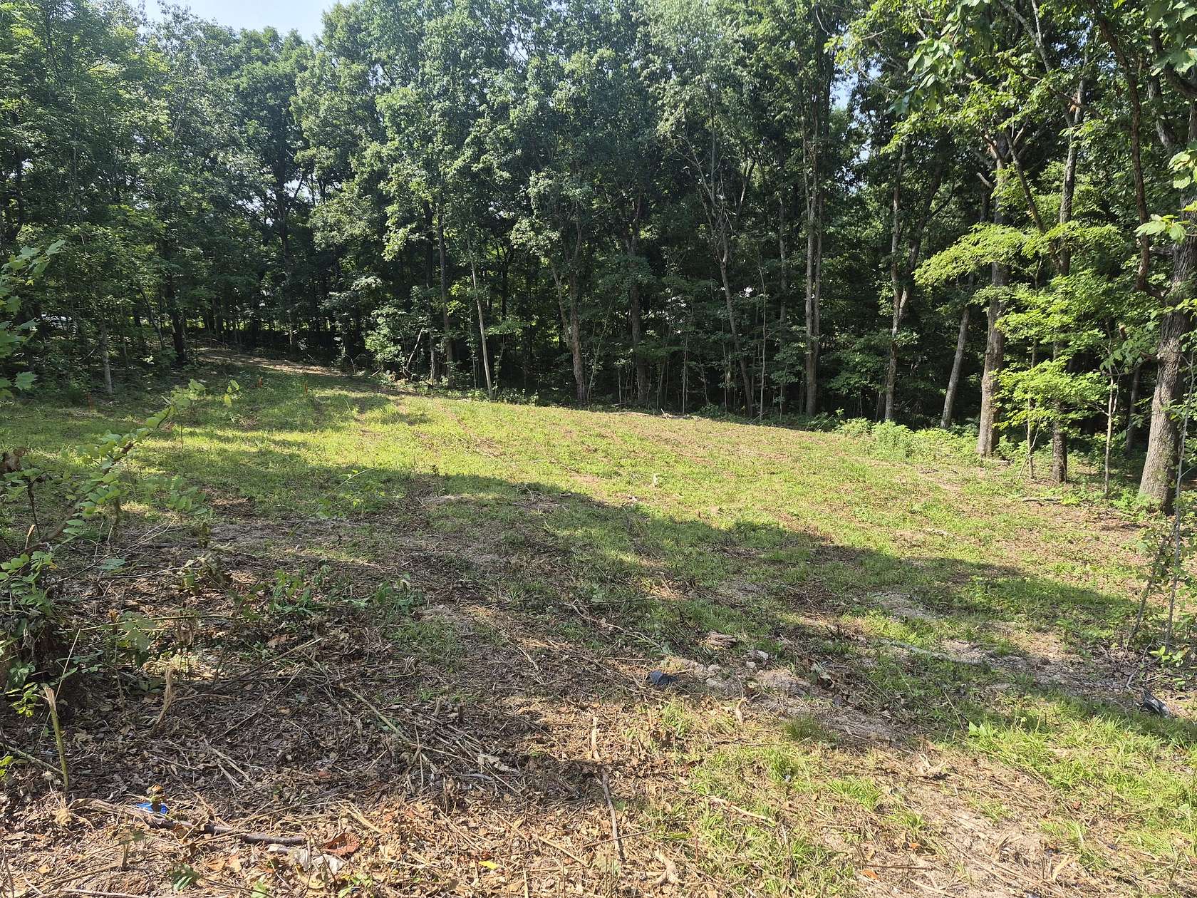 2.85 Acres of Residential Land for Sale in Palmyra, Tennessee