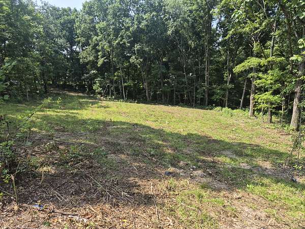 2.85 Acres of Residential Land for Sale in Palmyra, Tennessee