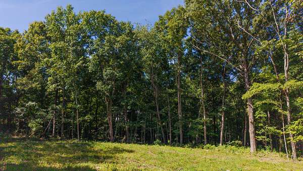 2.85 Acres of Residential Land for Sale in Palmyra, Tennessee