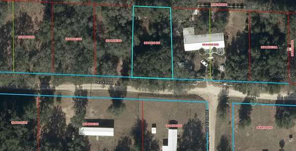 0.24 Acres of Residential Land for Sale in Morriston, Florida