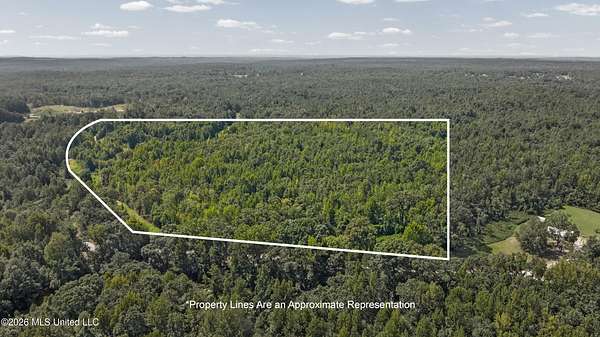 26.5 Acres of Land for Sale in Waterford, Mississippi
