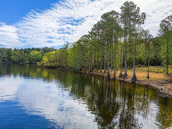 5.58 Acres of Land for Sale in Hemphill, Texas