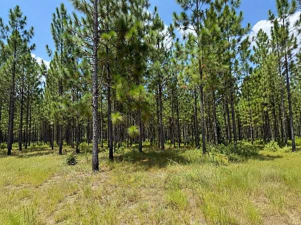 7 Acres of Residential Land for Sale in Lumberton, Mississippi