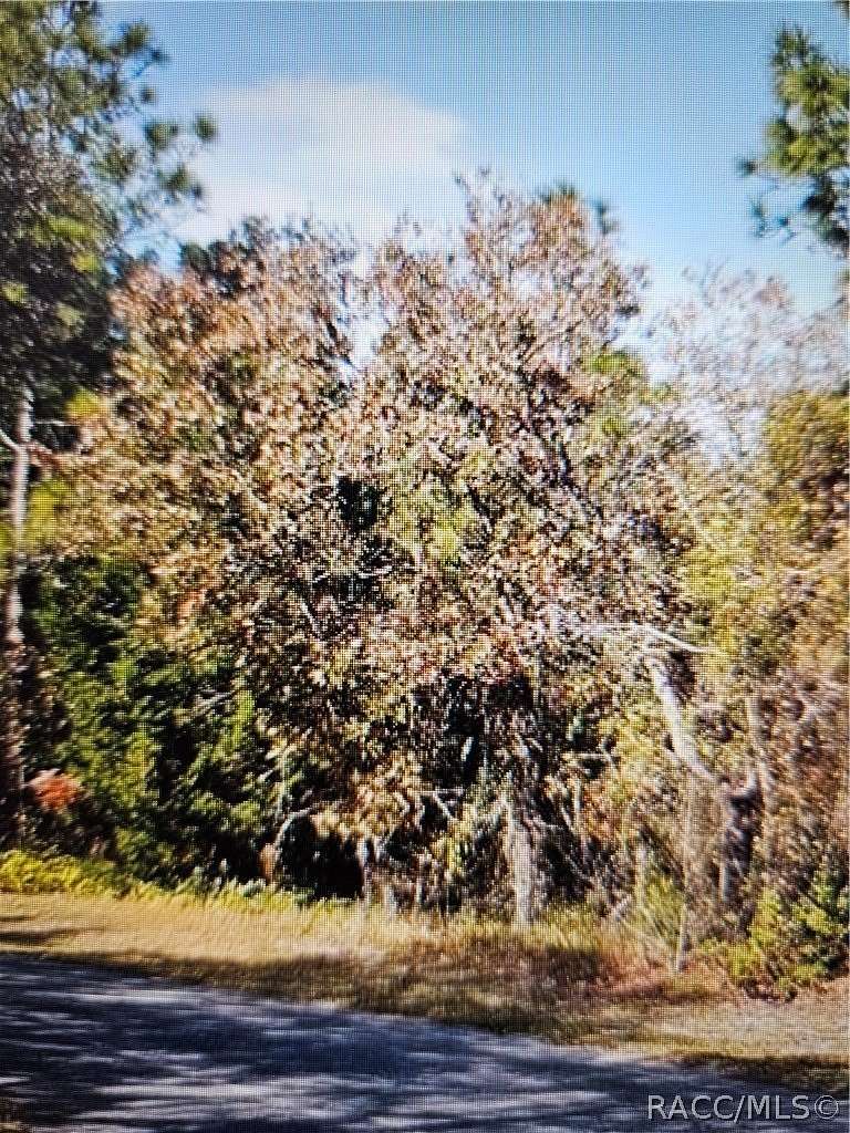 0.26 Acres of Residential Land for Sale in Homosassa, Florida