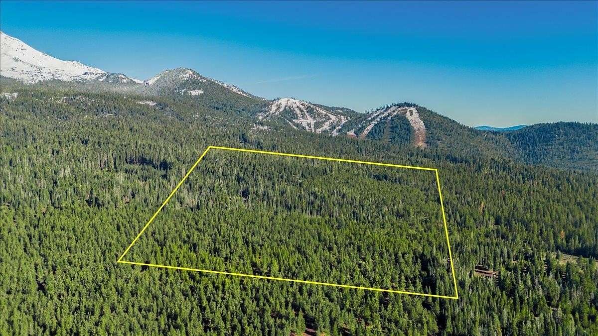 40 Acres of Recreational & Residential Land for Sale in Mount Shasta, California