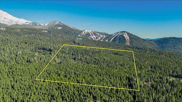 40 Acres of Recreational & Residential Land for Sale in Mount Shasta, California