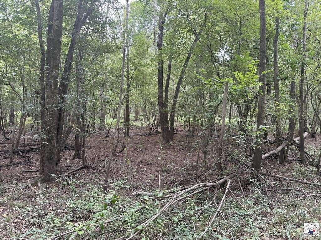 28 Acres of Recreational Land for Sale in New Boston, Texas