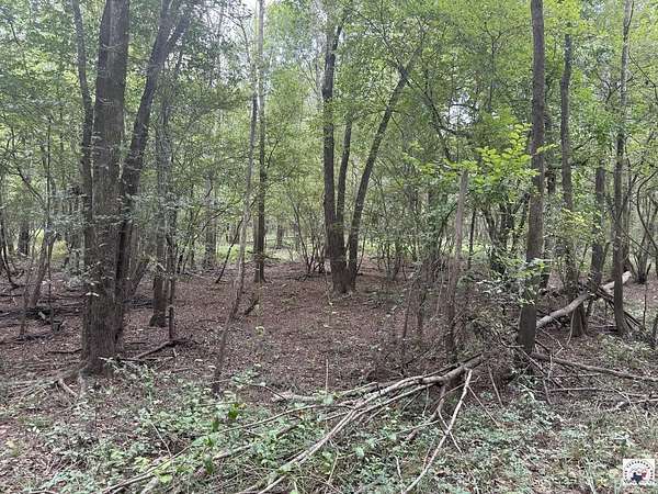 28 Acres of Recreational Land for Sale in New Boston, Texas