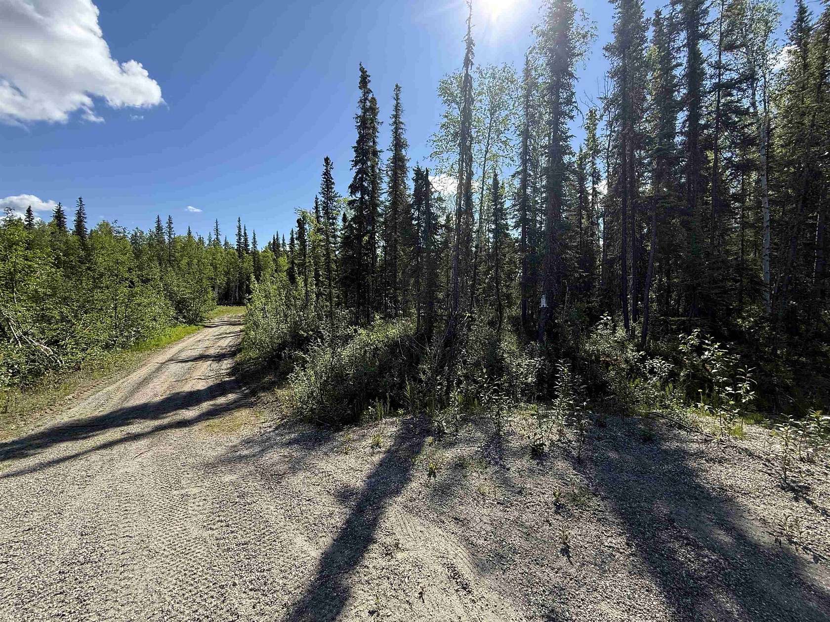 1 Acre of Residential Land for Sale in North Pole, Alaska