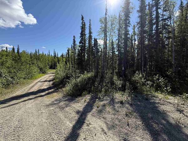 1 Acre of Residential Land for Sale in North Pole, Alaska