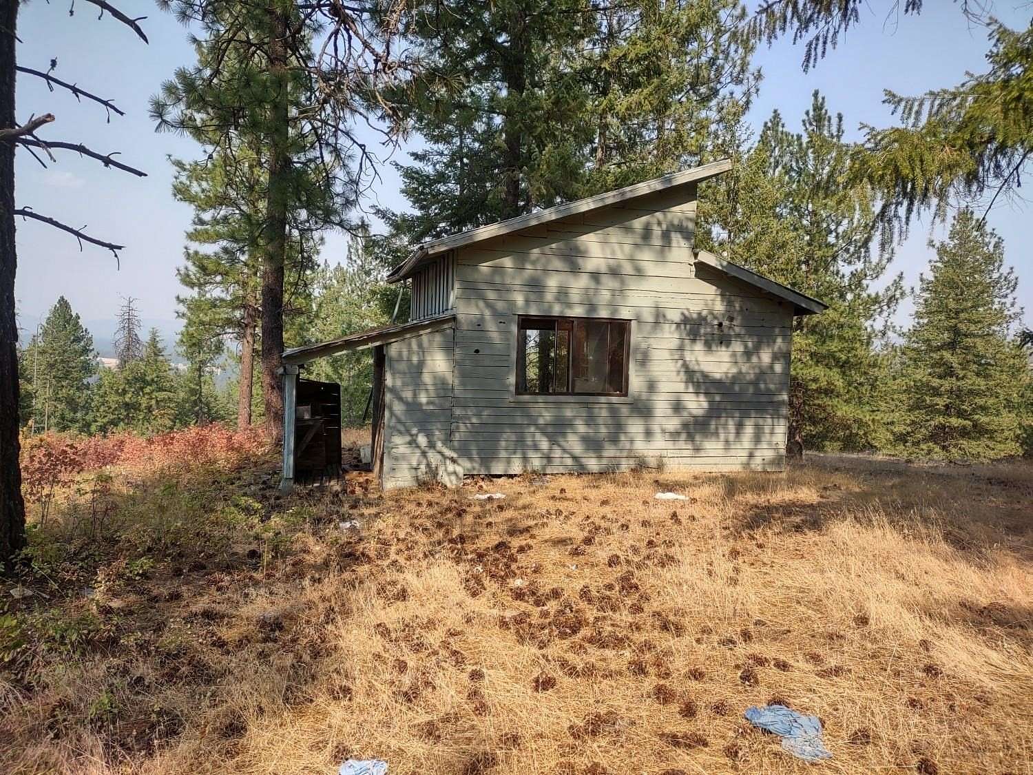 10 Acres of Land for Sale in Elk, Washington