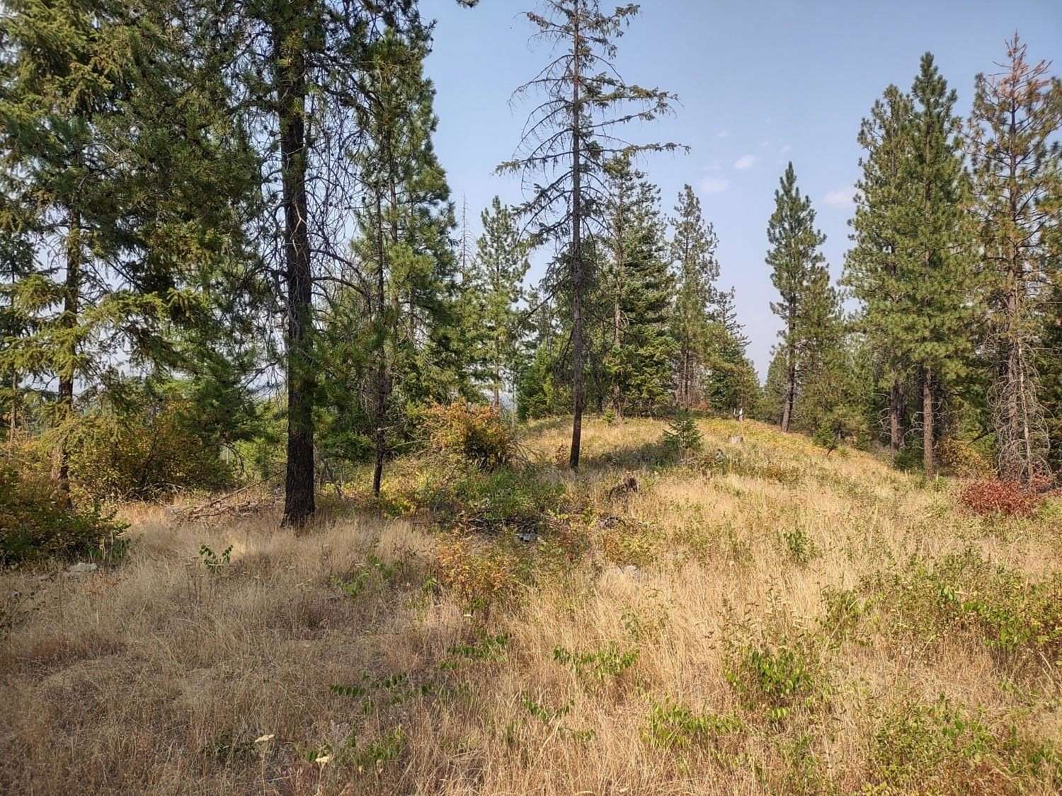 20 Acres of Recreational Land for Sale in Elk, Washington