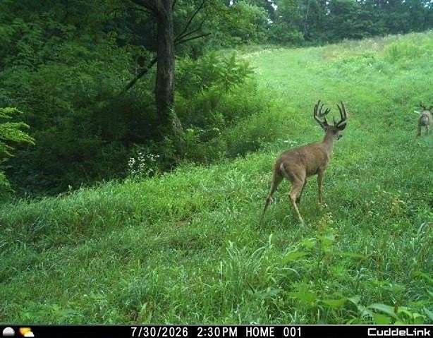 84 Acres of Land for Sale in Boscobel, Wisconsin