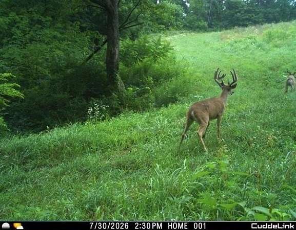 84 Acres of Land for Sale in Boscobel, Wisconsin