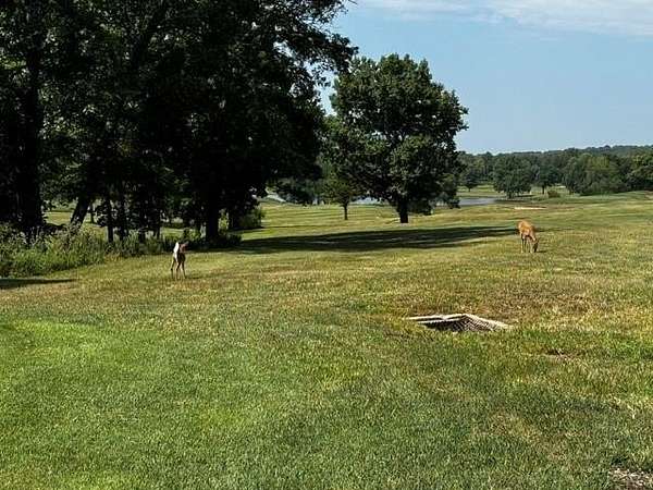 0.57 Acres of Residential Land for Sale in Linn Valley, Kansas