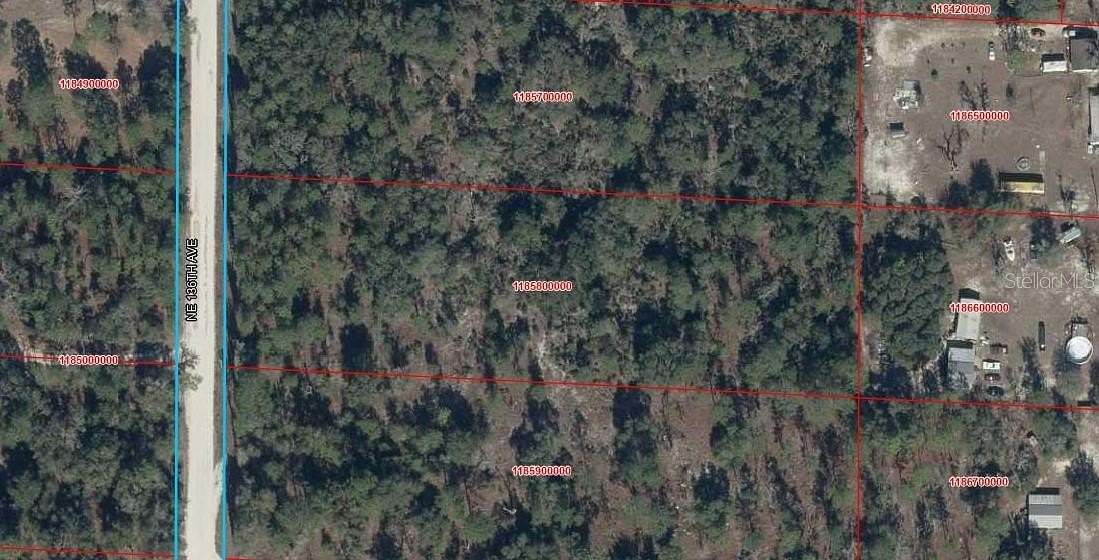 3 Acres of Residential Land for Sale in Williston, Florida