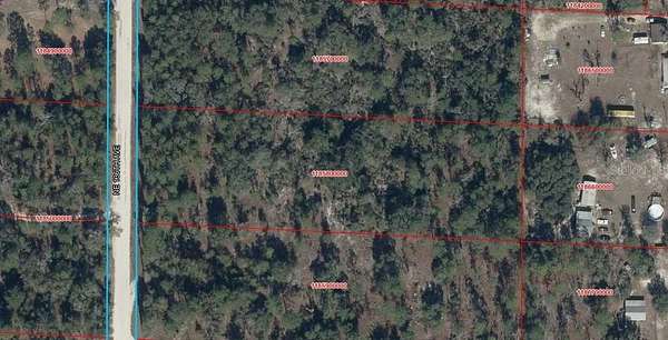 3 Acres of Residential Land for Sale in Williston, Florida