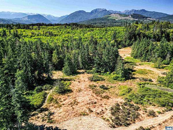 20 Acres of Land for Sale in Port Angeles, Washington