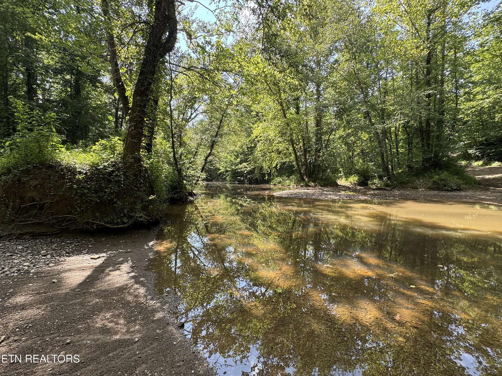 170 Acres of Land for Sale in Robbins, Tennessee