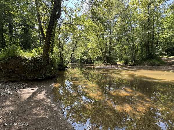 170 Acres of Land for Sale in Robbins, Tennessee