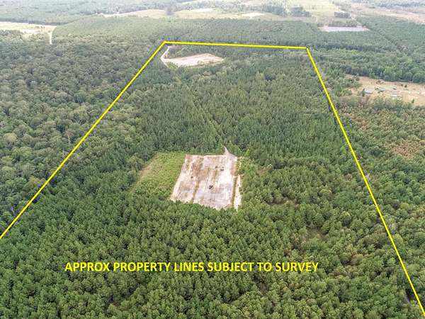 80 Acres of Recreational Land for Sale in Carthage, Texas