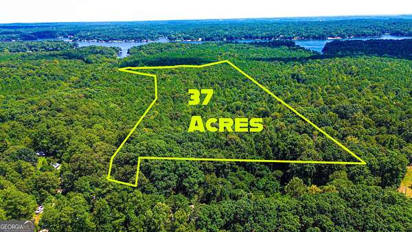 37 Acres of Recreational & Residential Land for Sale in Covington, Georgia