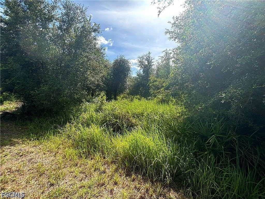 0.5 Acres of Residential Land for Sale in Lehigh Acres, Florida