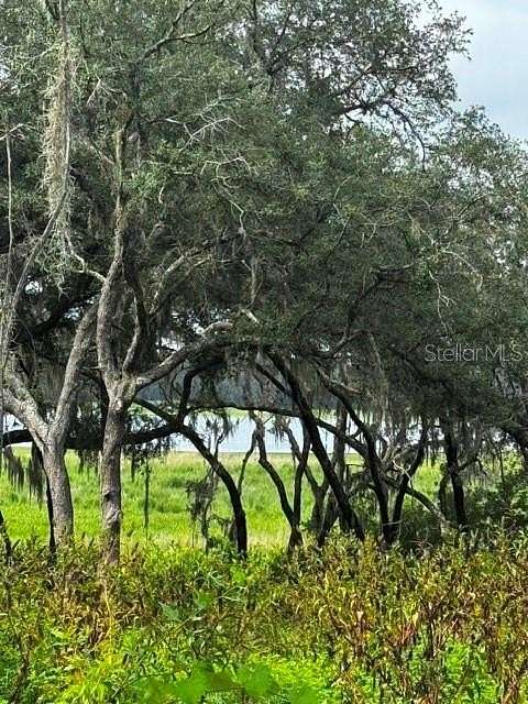 0.48 Acres of Residential Land for Sale in Dunnellon, Florida