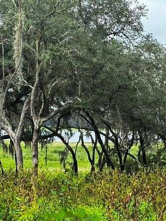 0.48 Acres of Residential Land for Sale in Dunnellon, Florida